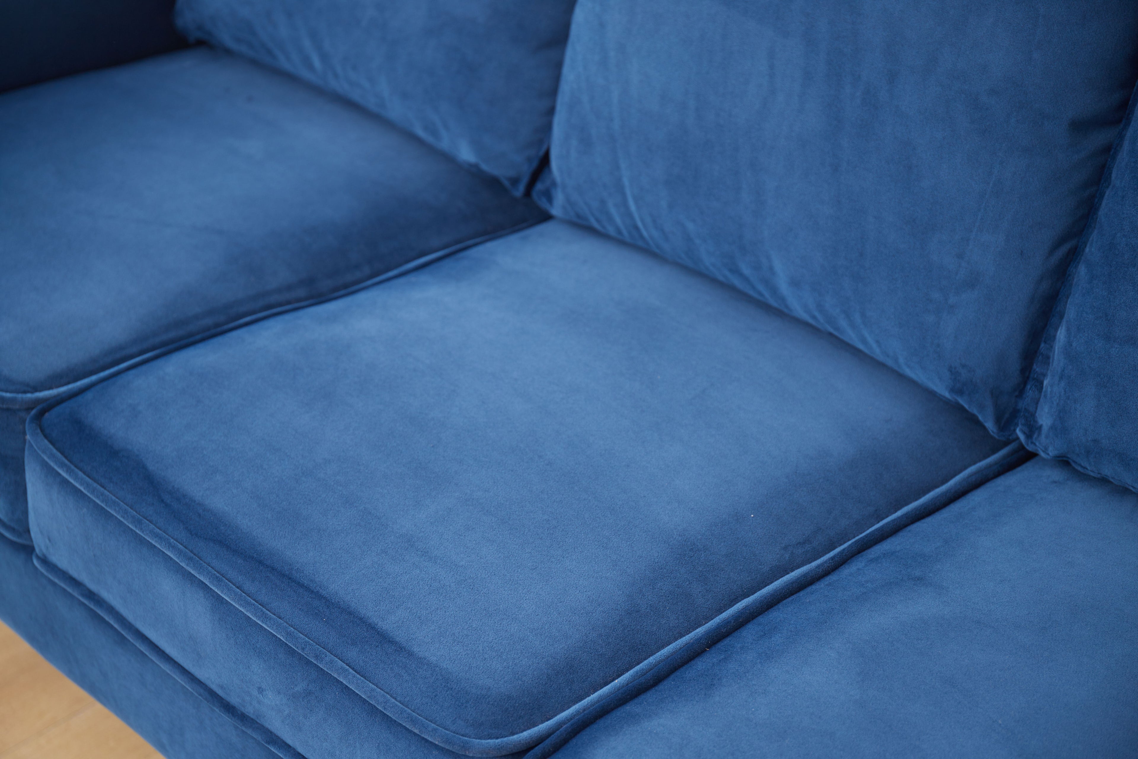 Graceful Design Plush Comfort Sofa
