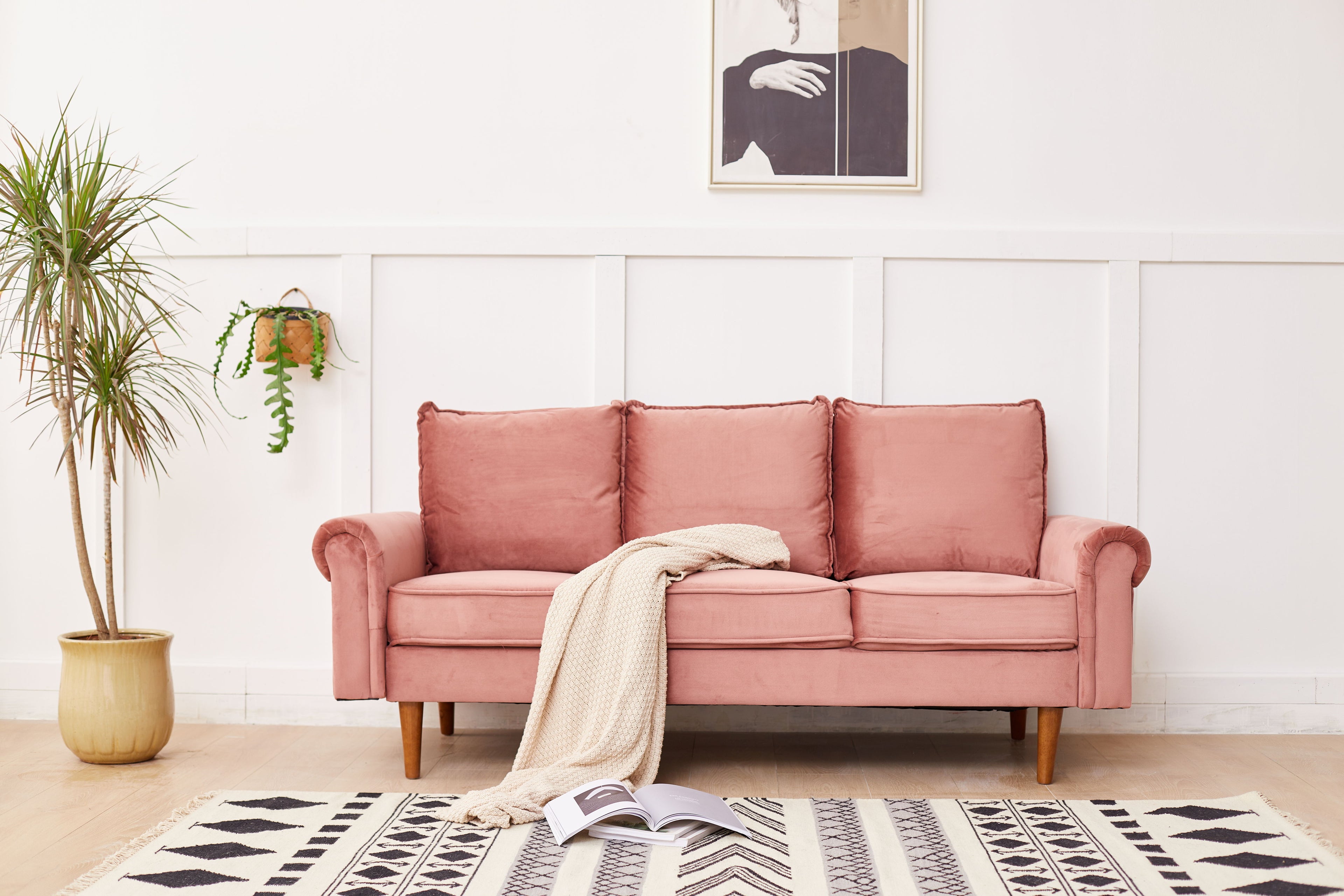 Graceful Design Plush Comfort Sofa