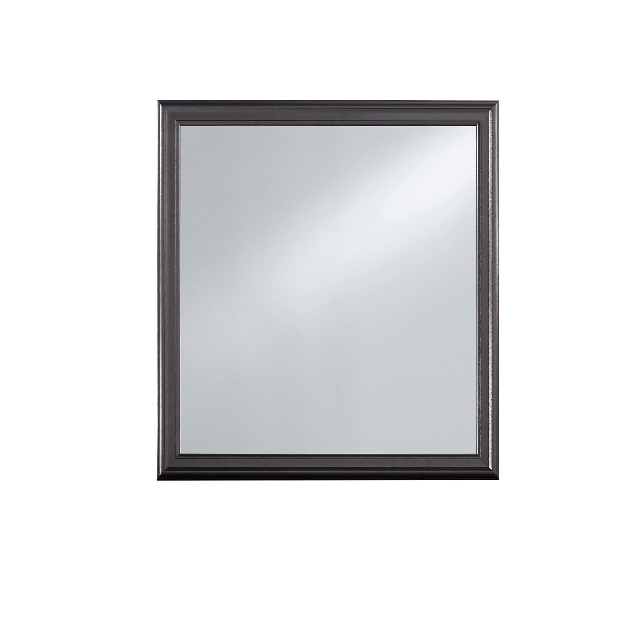 Shaker - Crocodile Metallic Mirror