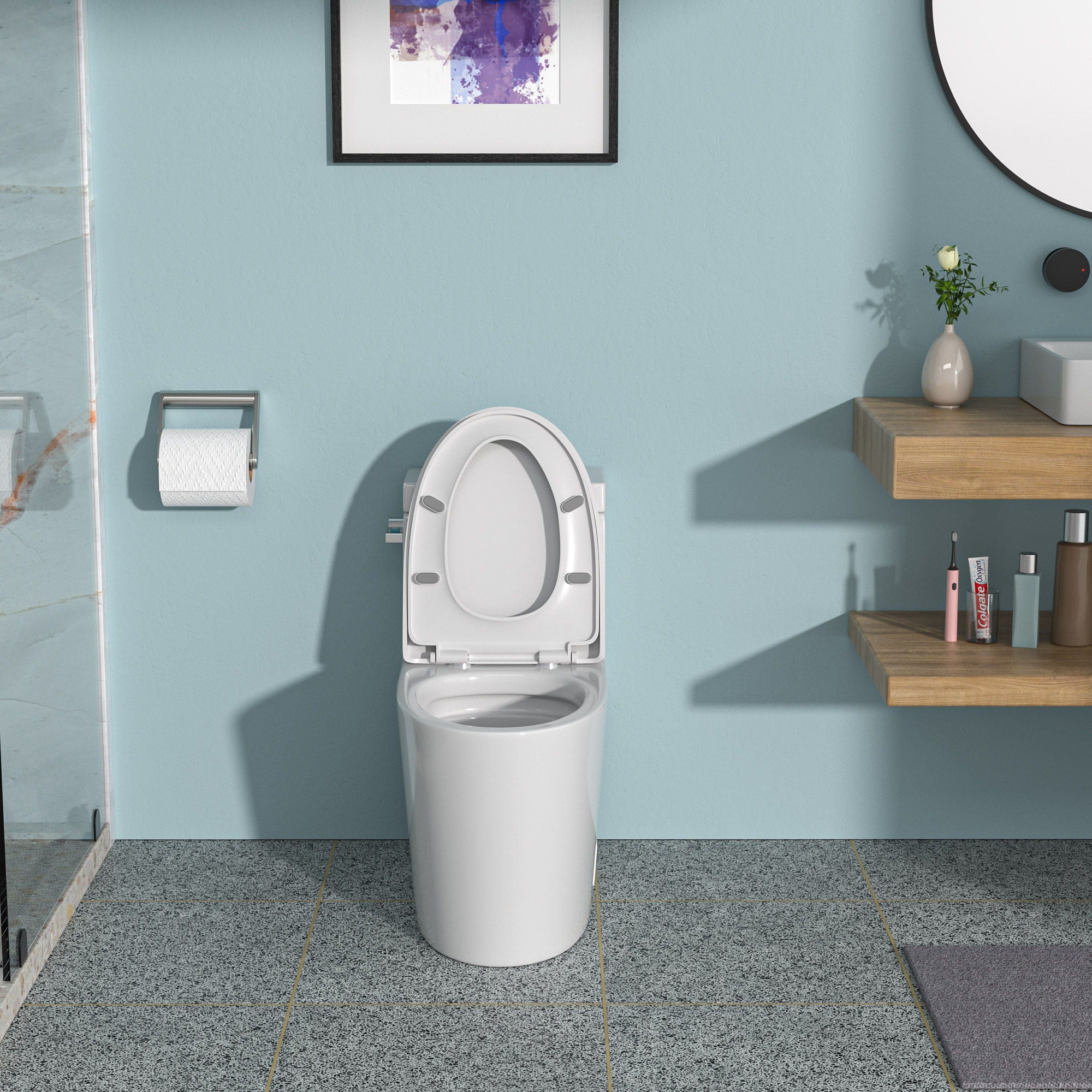 1 Piece Toilet And Soft Closing Seat - White