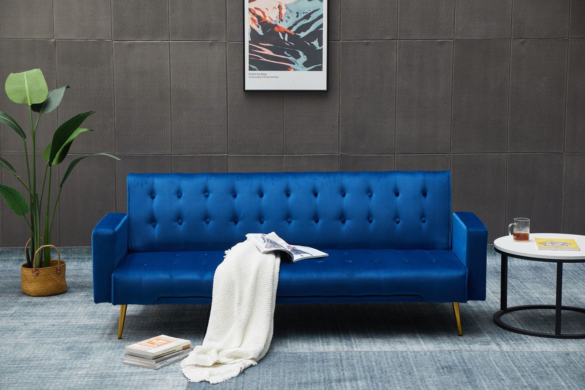 Comfort Compact Design Sofa Bed