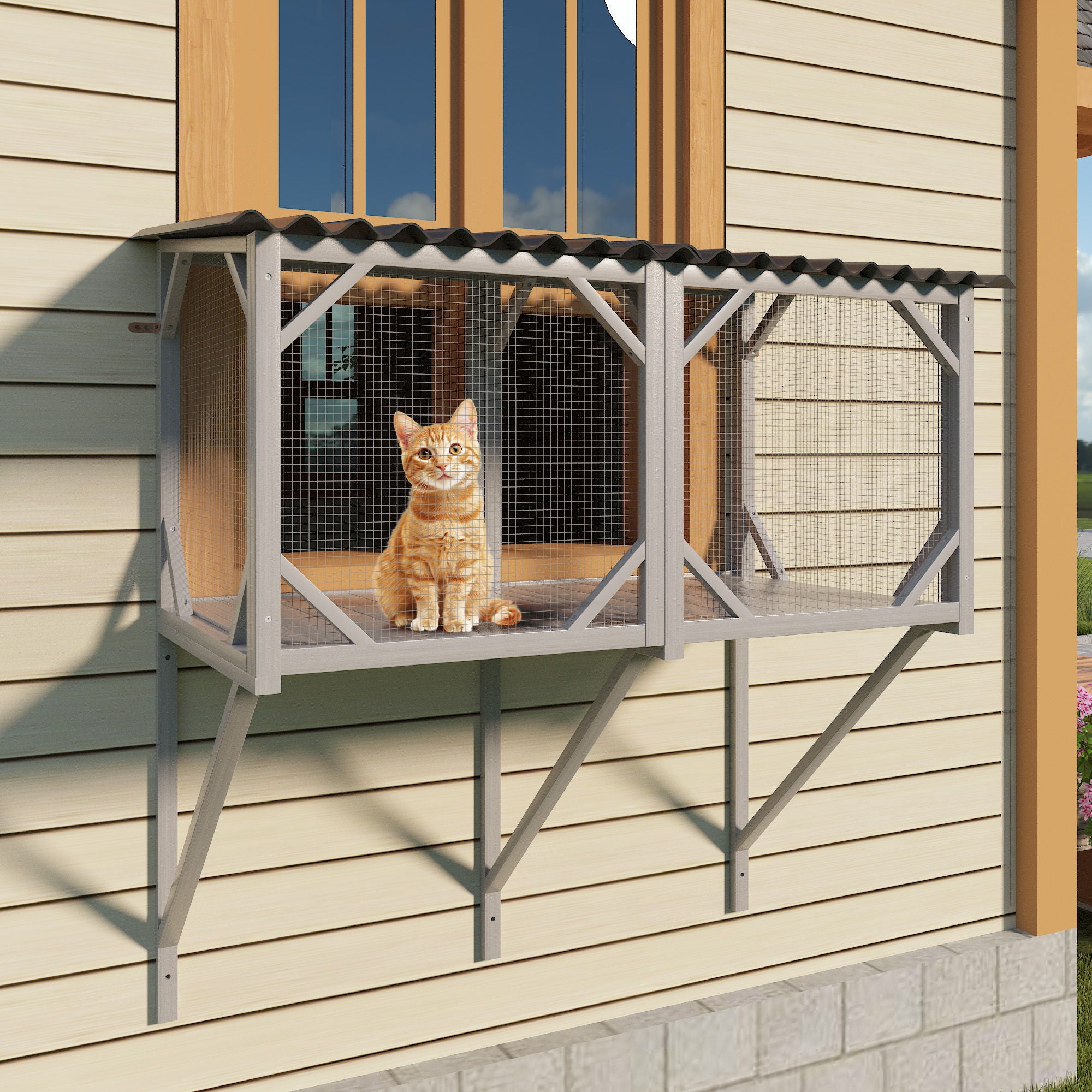 Cat Window Box