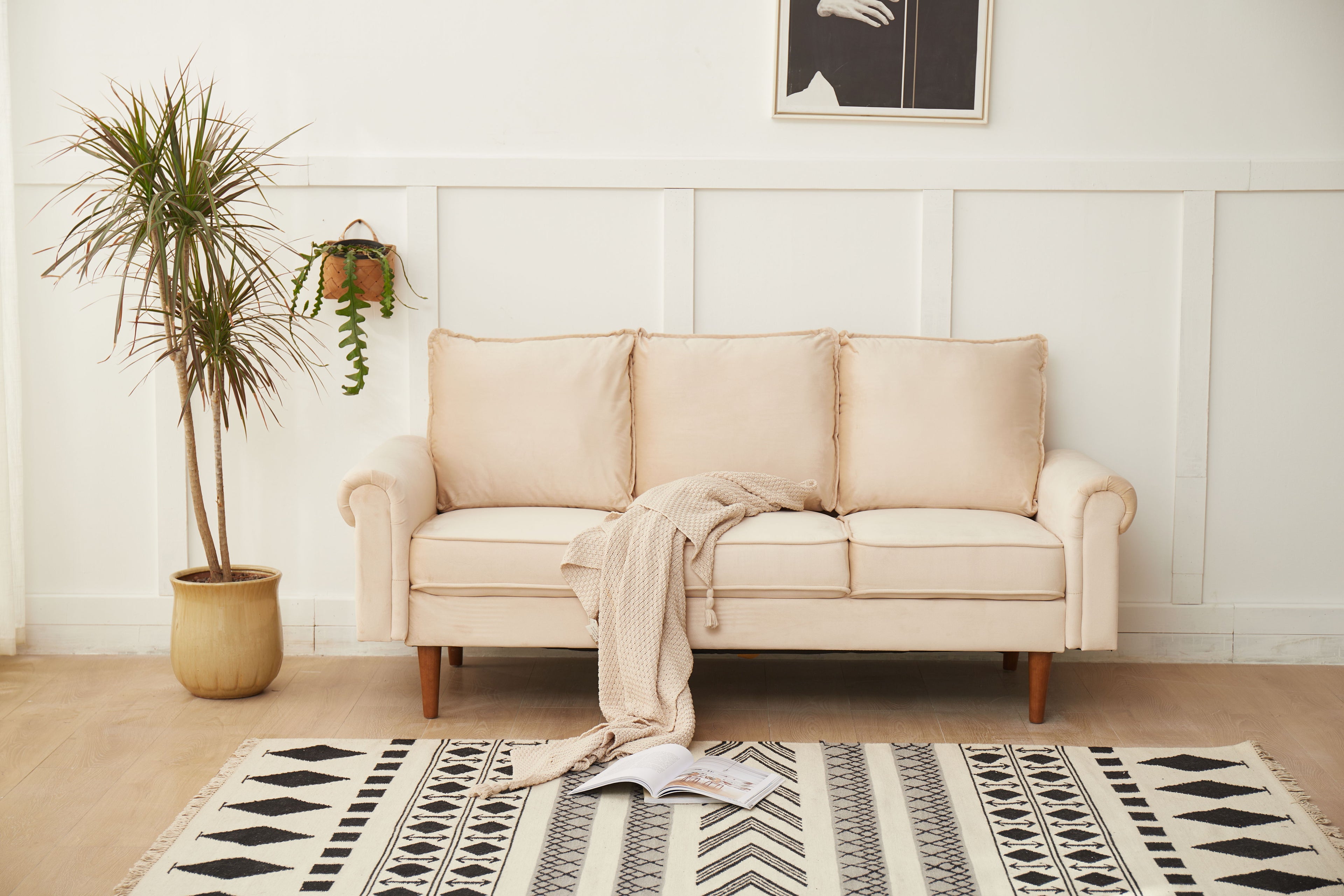 Graceful Design Plush Comfort Sofa