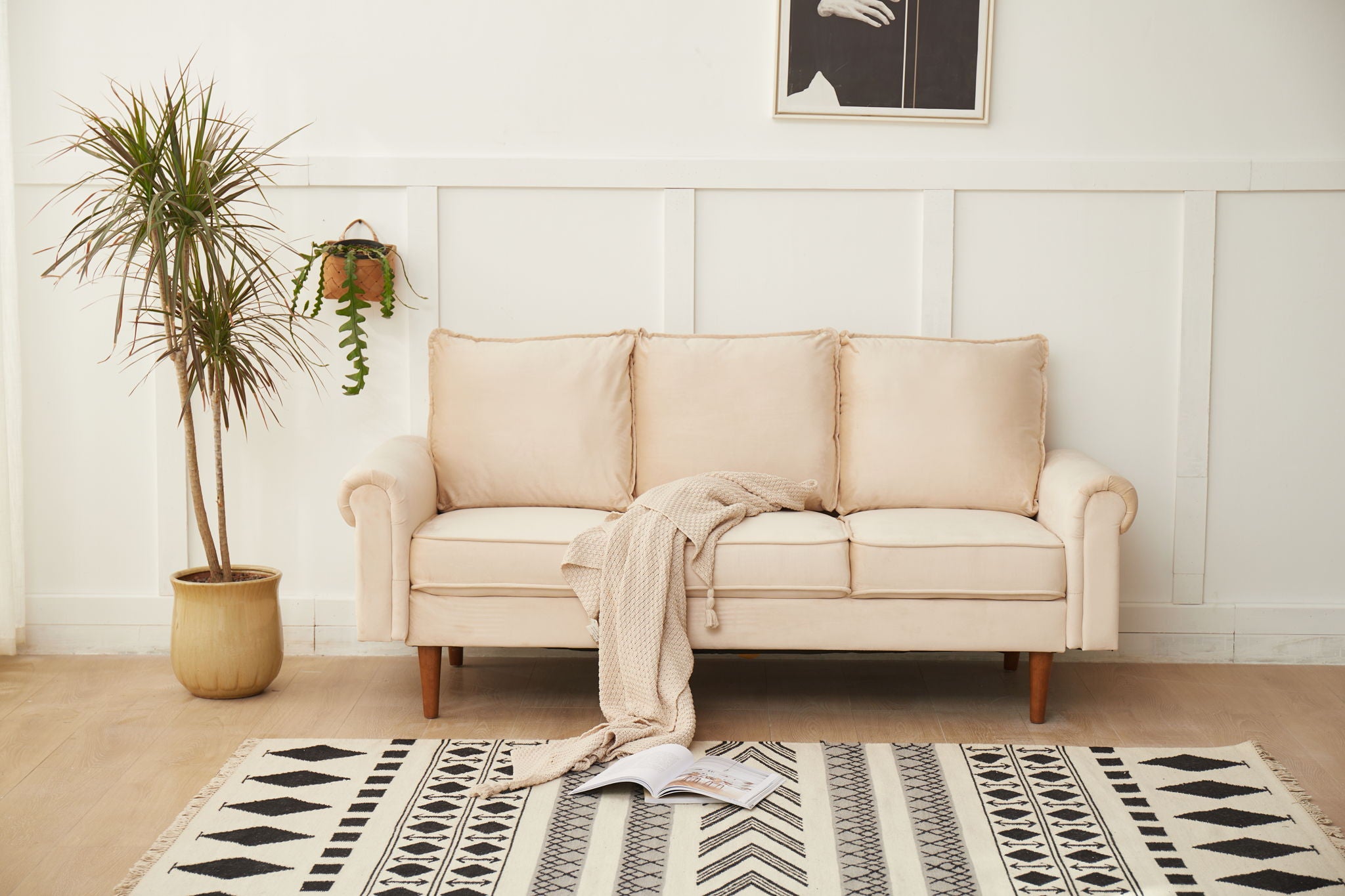 Graceful Design Plush Comfort Sofa