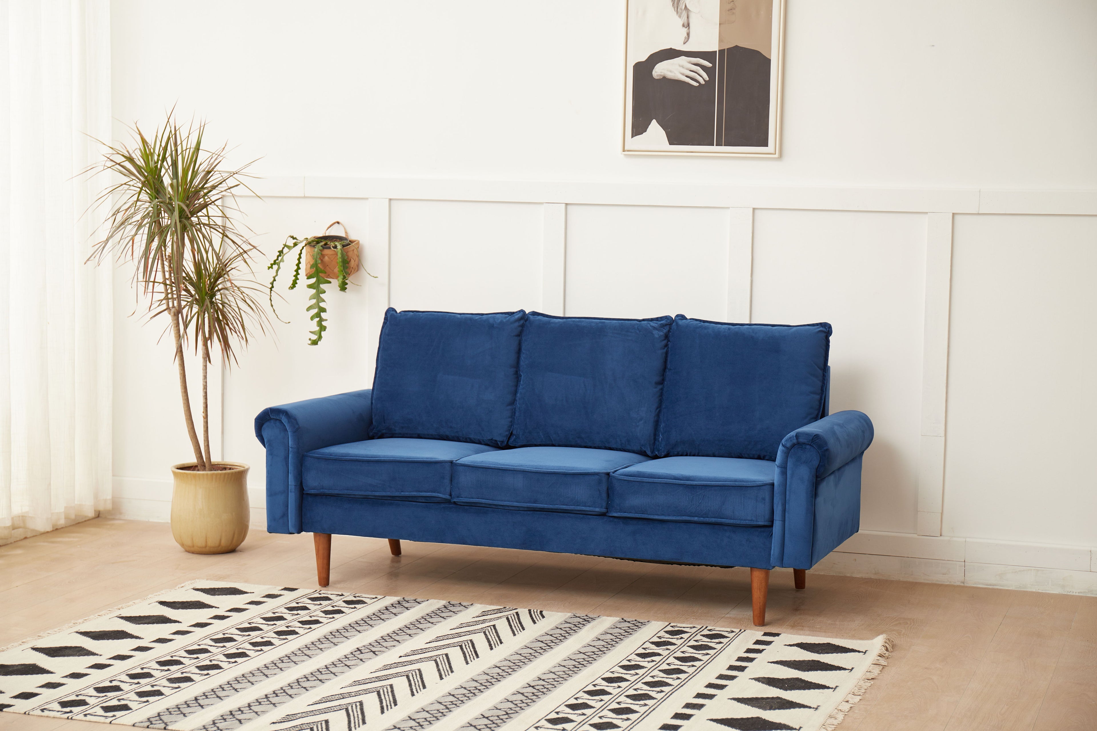 Graceful Design Plush Comfort Sofa