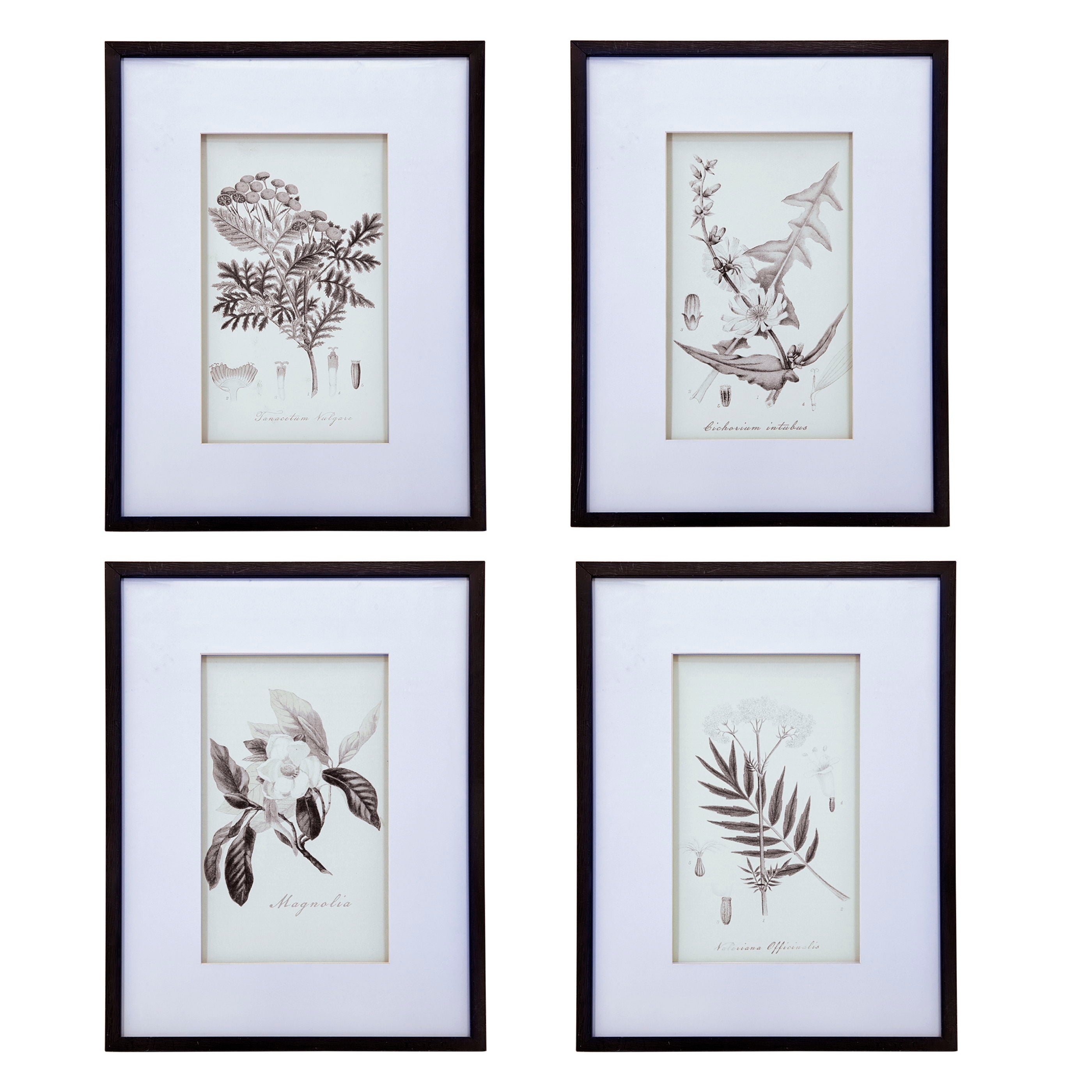 Botanical Wall Art Prints, Home Decor For Living Room Dining Room, Bedroom, Hallway (Set of 4) - White / Black