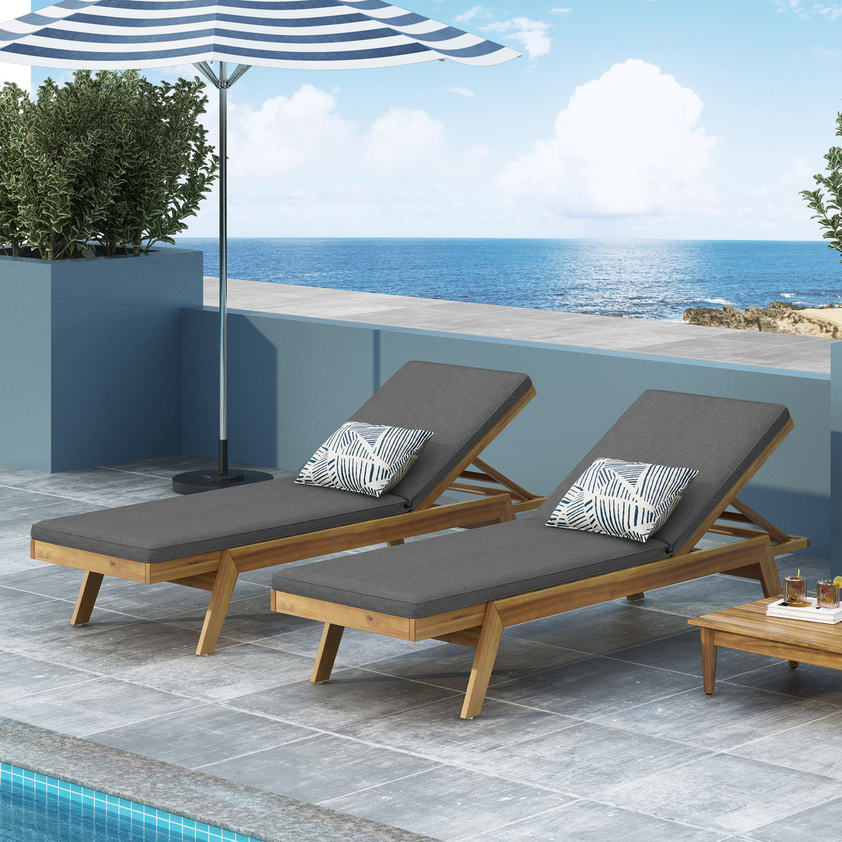 Nebulon - Outdoor Adjustable Chaise Lounge With Water Resistant Cushions (Set of 2)