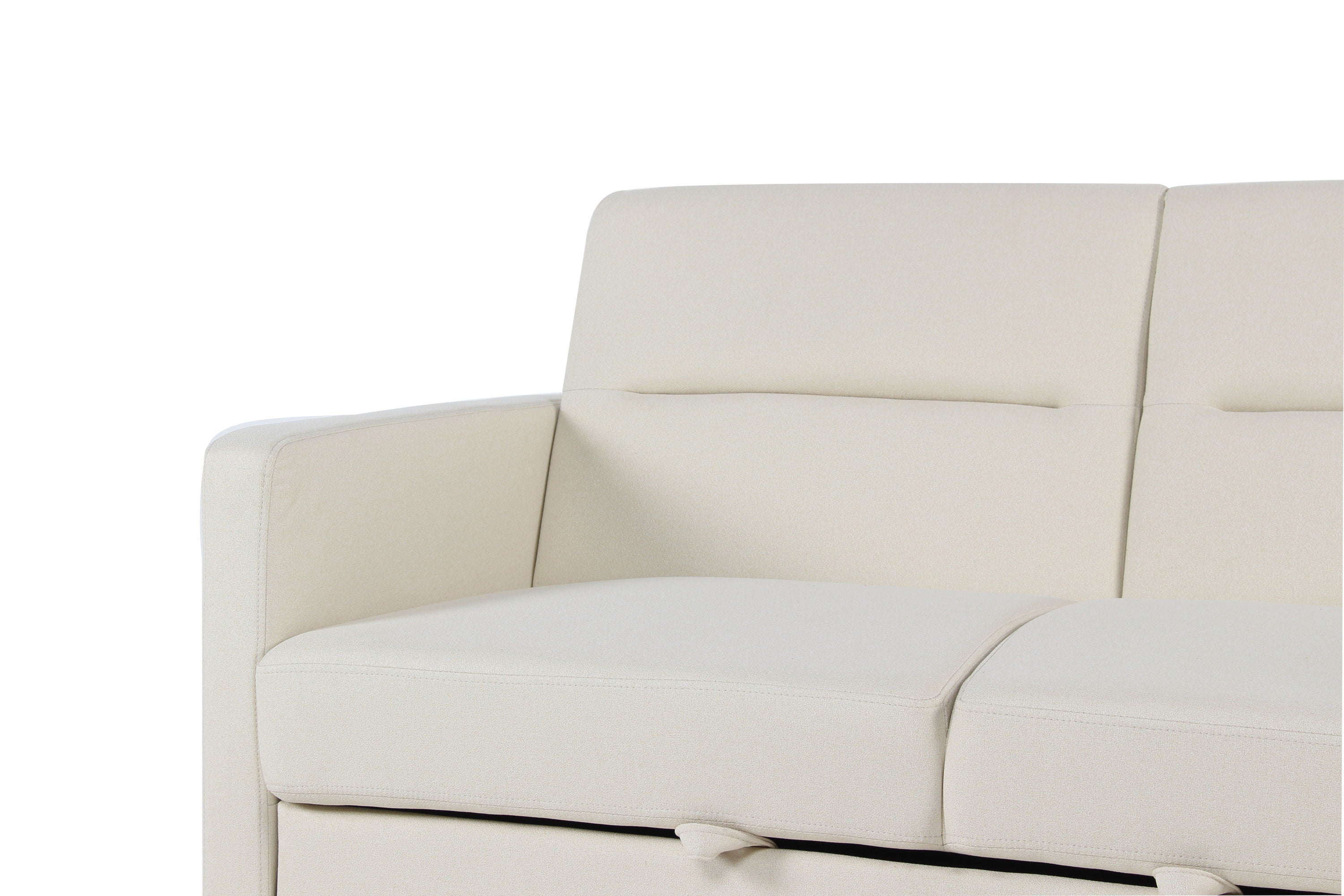 Sleeper Pull Out Loveseat Couch With Adjustable Backrest