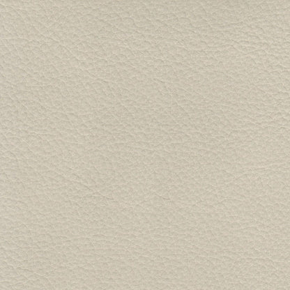 Bella - Leather Chair - Ivory