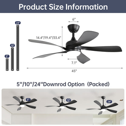 Ceiling Fan &amp; DC Motor And Integrated Light