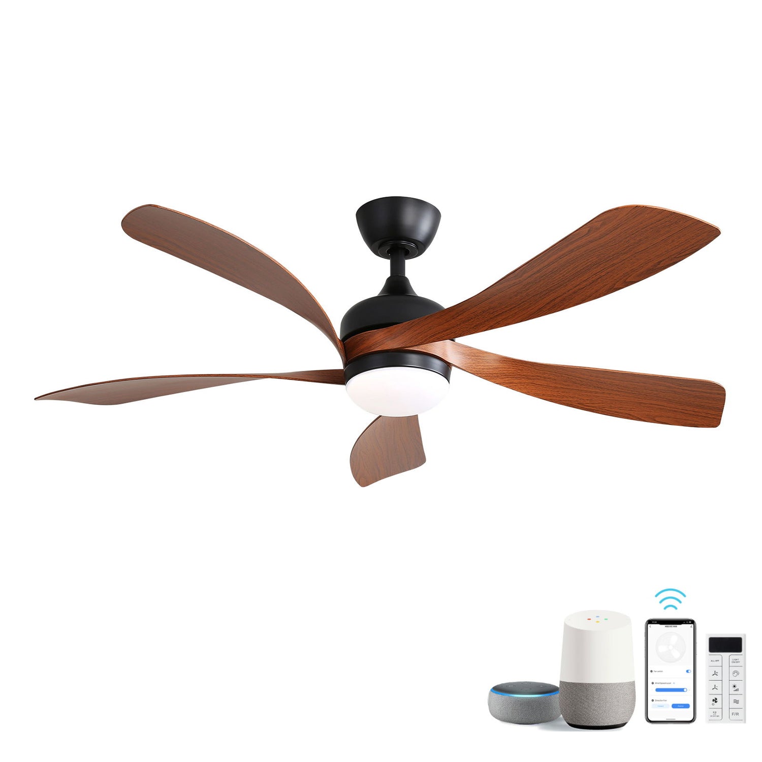 Ceiling Fan &amp; DC Motor And Integrated Light