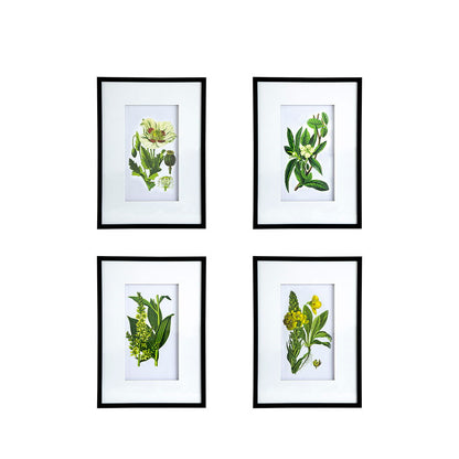 Botanical Flower Wall Art, Home Decor For Living Room Dining Room, Bedroom, Hallway (Set of 4) - White / Blue