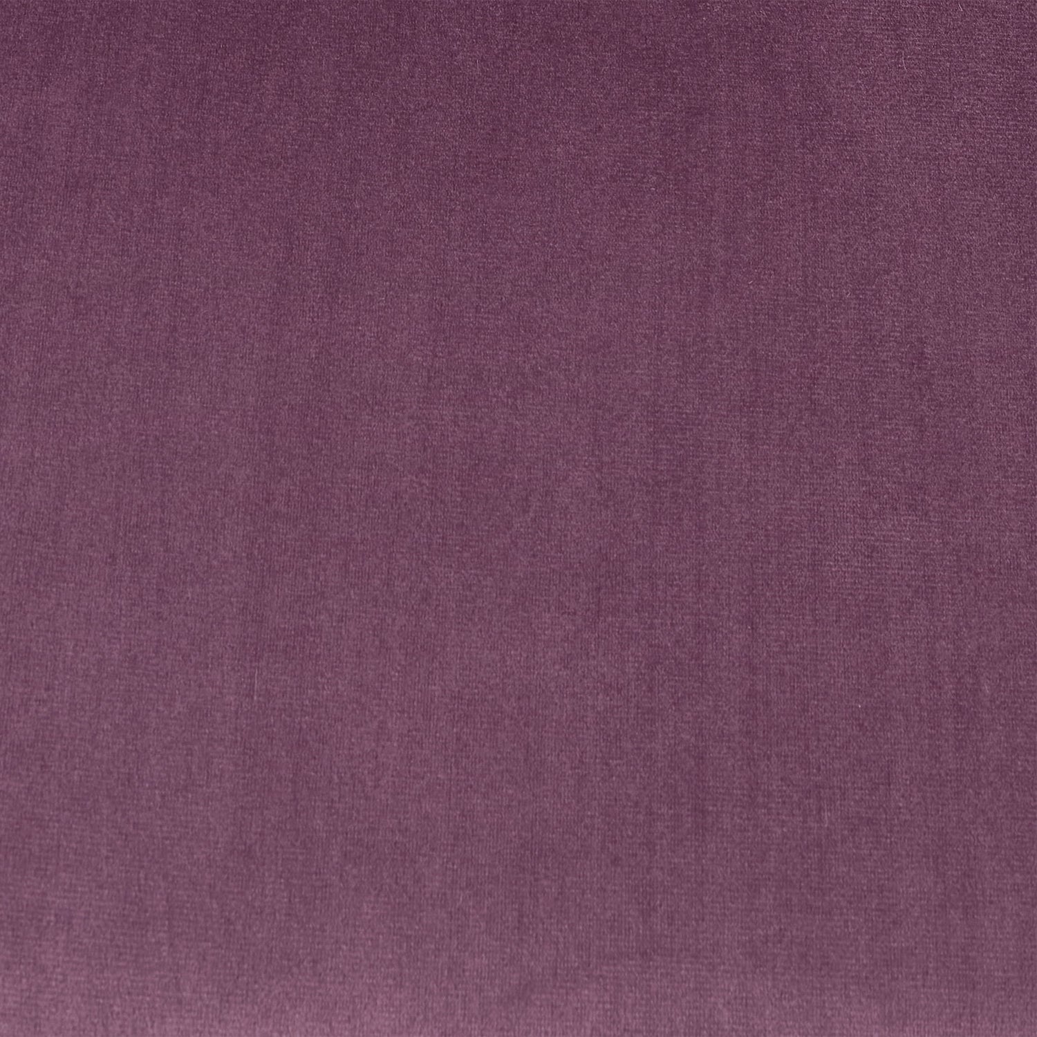 Elegant Curved Armrest Accent Armchair