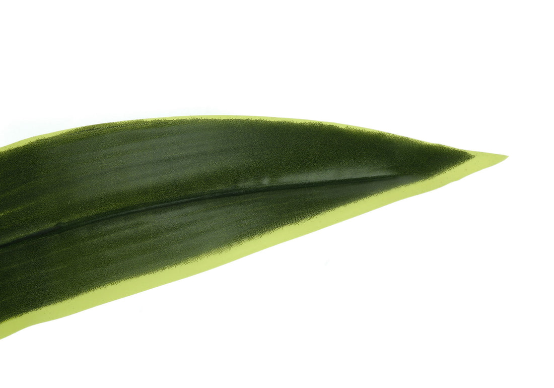 47&quot; Tall, Artificial Plant, Dracaena Tree, Indoor, Faux, Fake, Floor, Greenery, Potted, Real Touch, Decorative - Green / Black