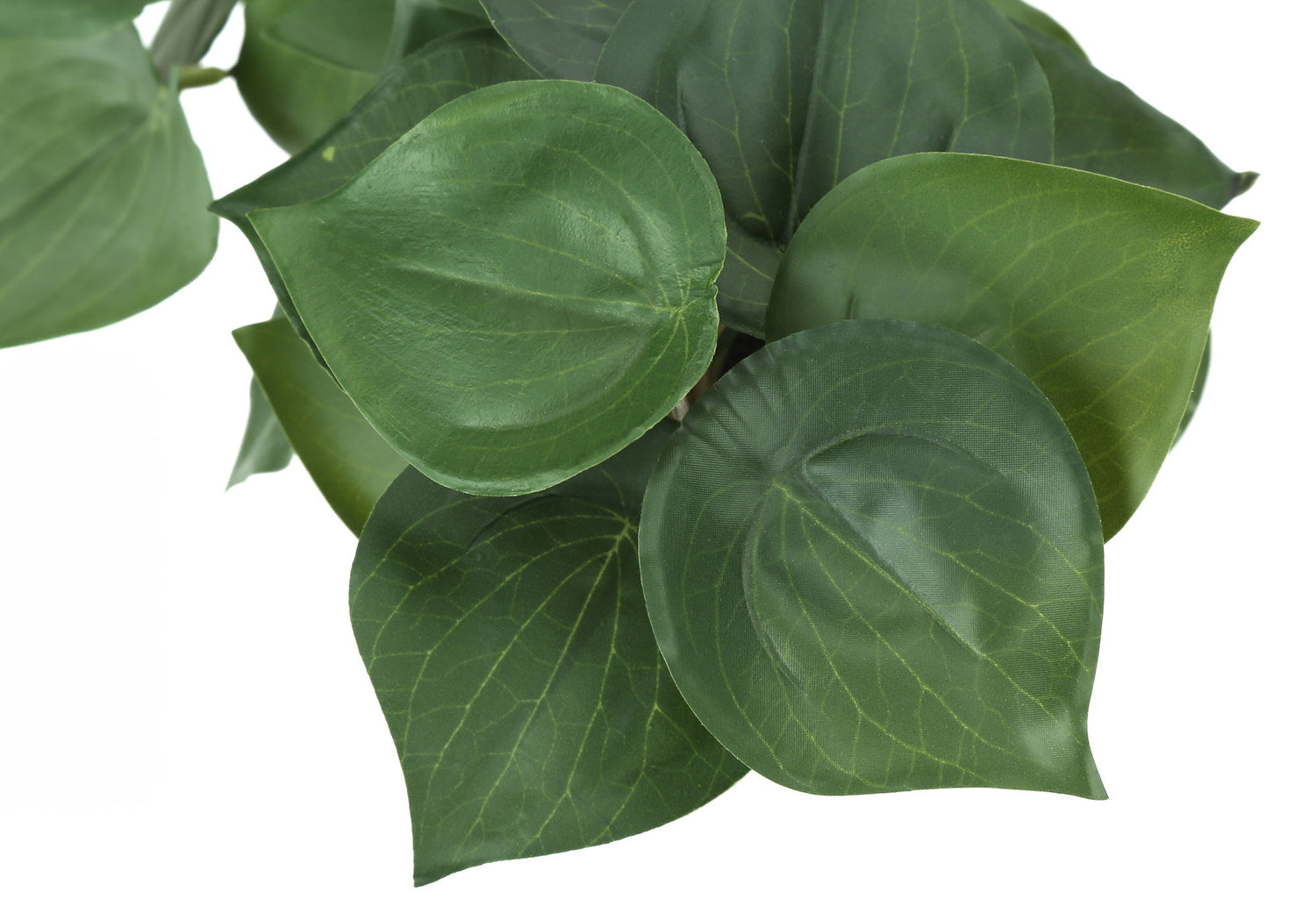 8&quot; Tall, Artificial Plant, Alocasia, Indoor, Faux, Fake, Table, Greenery, Potted, Decorative (Set of 2) - Green / White
