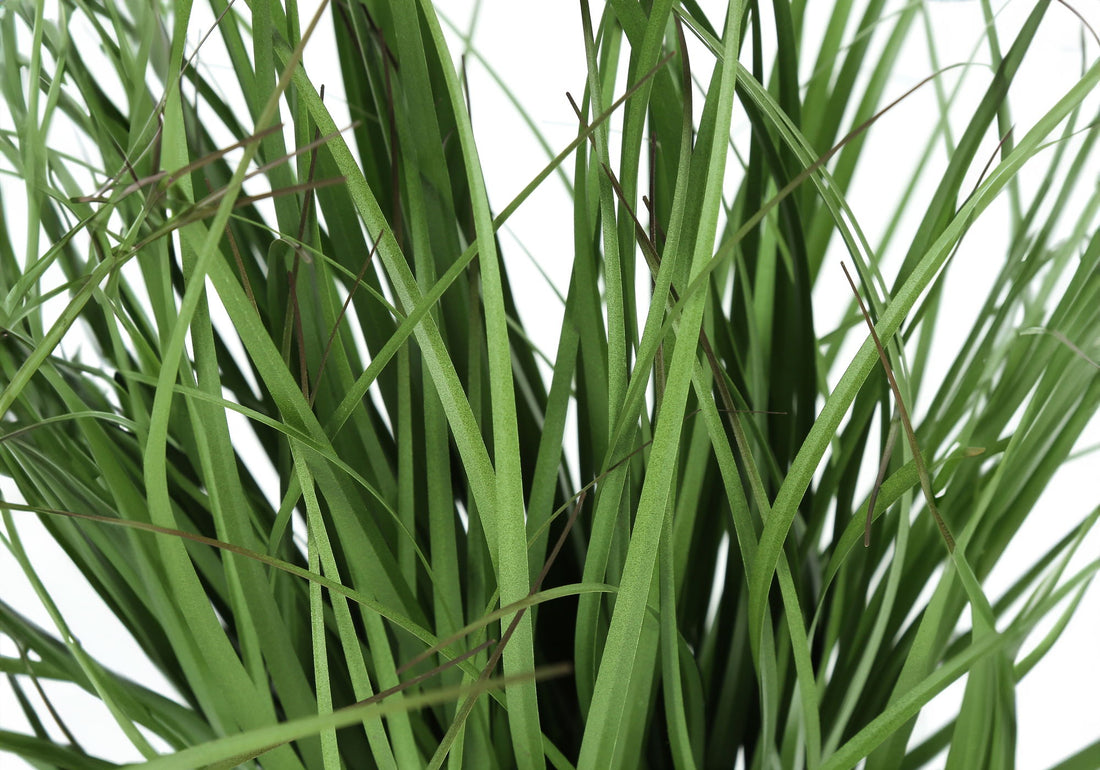 23&quot; Tall, Artificial Plant, Grass, Indoor, Faux, Fake, Table, Greenery, Potted, Real Touch, Decorative - Green / Black