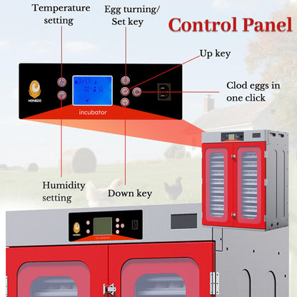 Commercial Egg Digital Cabinet Incubator With Auto Temperature &amp; Humidity Control