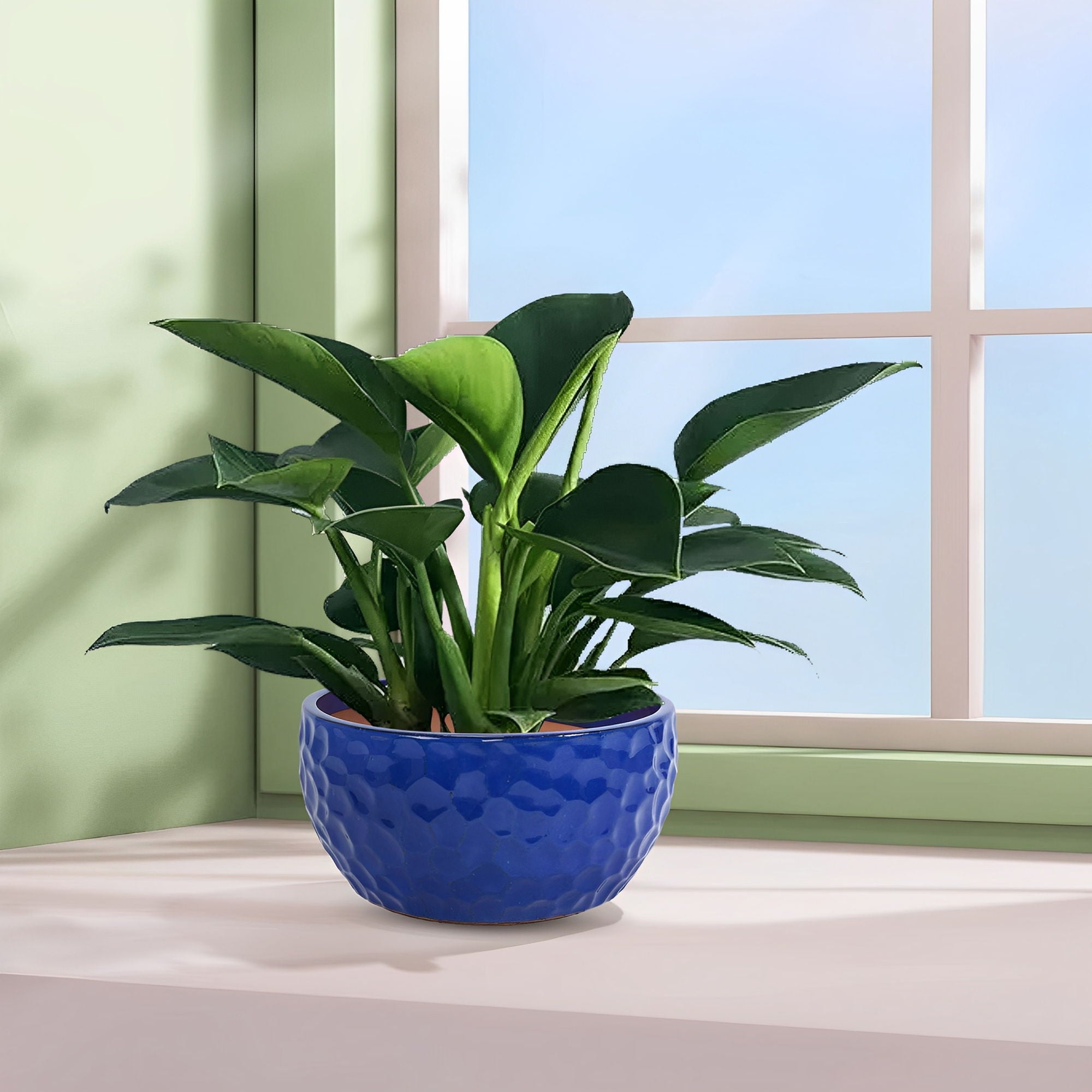 3 Pieces Ceramic Flowerpot