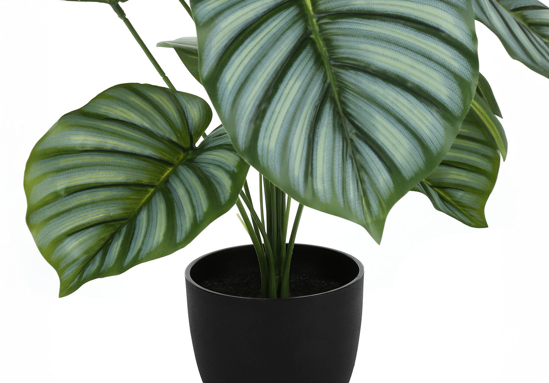 24&quot; Tall, Artificial Plant, Calathea, Indoor, Faux, Fake, Table, Greenery, Potted, Real Touch, Decorative - Green / Black