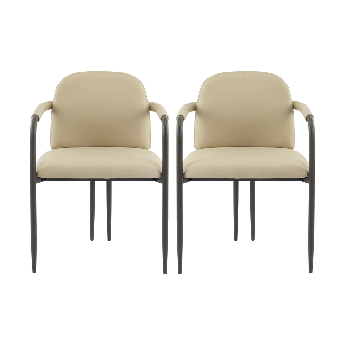 Modern Dining Chair (Set of 2) With Iron Frame - Espresso / Khaki