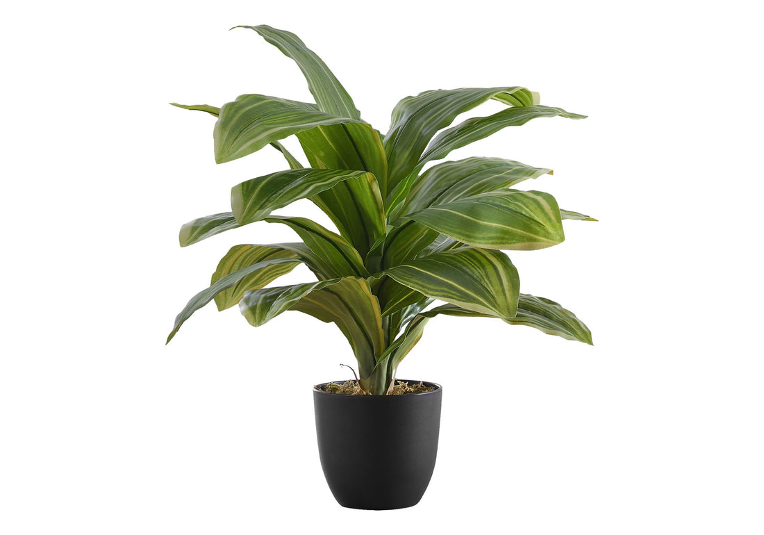 17&quot; Tall, Artificial Plant, Dracaena, Indoor, Faux, Fake, Table, Greenery, Potted, Real Touch, Decorative - Green / Black