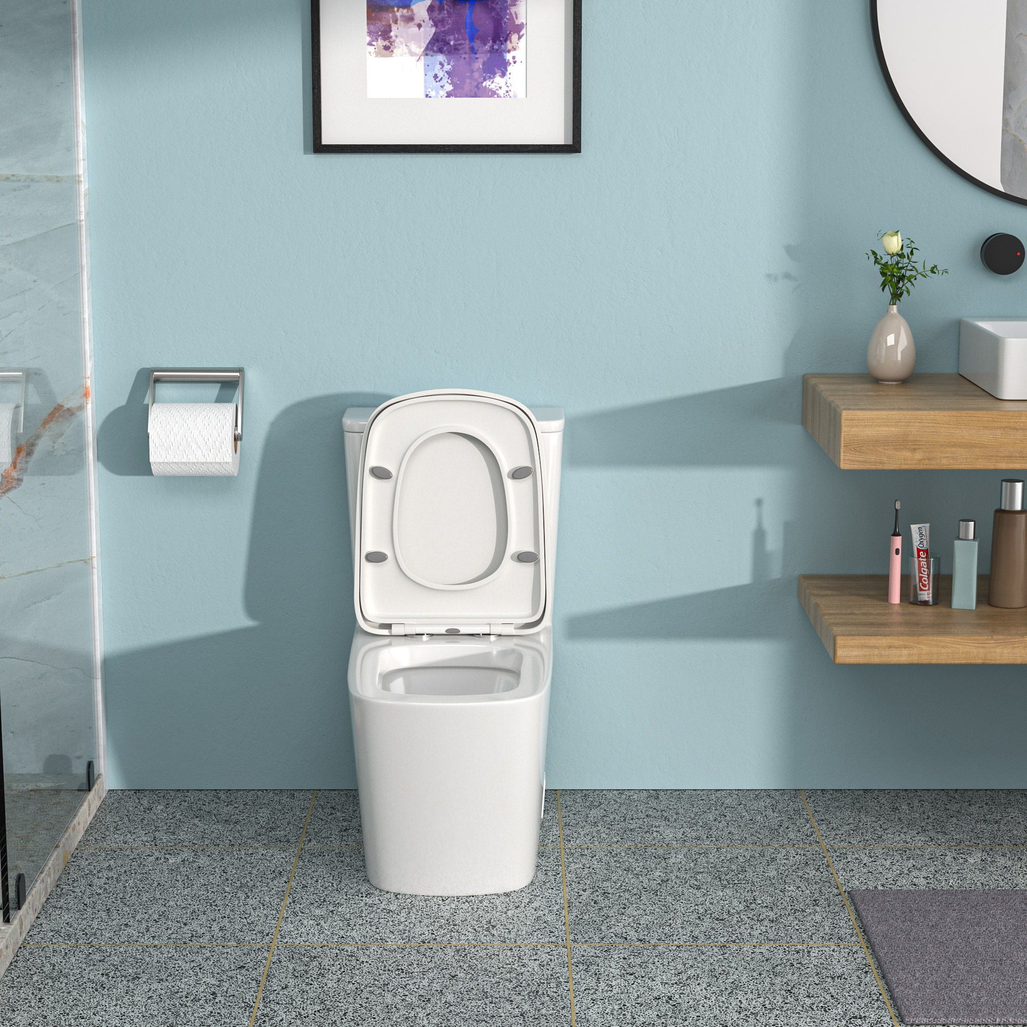 1 Piece Toilet &amp; Dual Flush And Soft Closing Seat - White