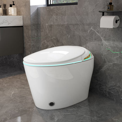 Unique Smart Toile With Built In Bidet, Auto Open / Close Seat, Foot Sensor, LED Display, Night Light, Warm Water &amp; Dryer Ceramic