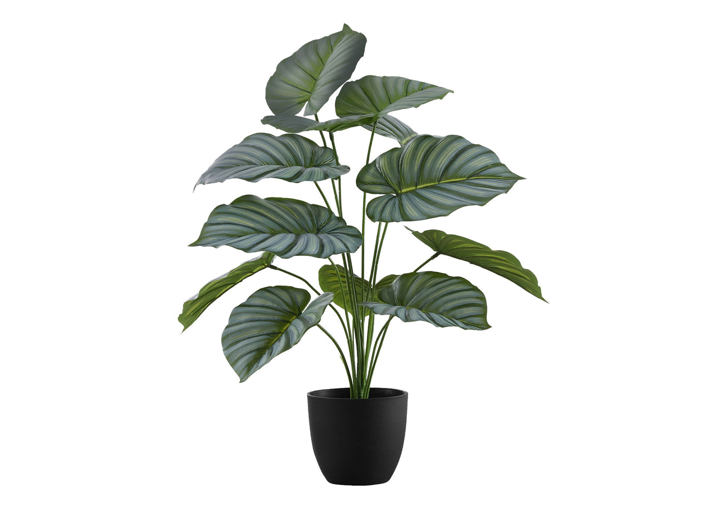 24&quot; Tall, Artificial Plant, Calathea, Indoor, Faux, Fake, Table, Greenery, Potted, Real Touch, Decorative - Green / Black