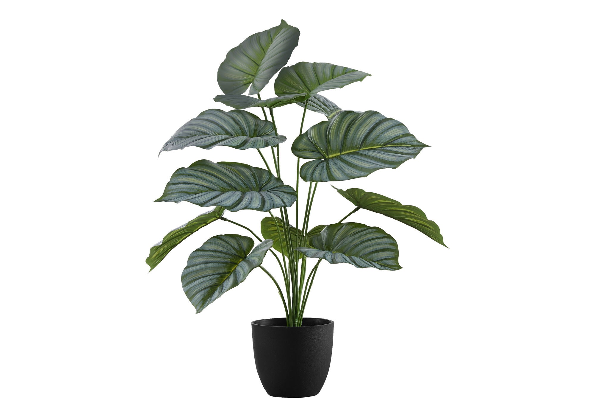 24&quot; Tall, Artificial Plant, Calathea, Indoor, Faux, Fake, Table, Greenery, Potted, Real Touch, Decorative - Green / Black