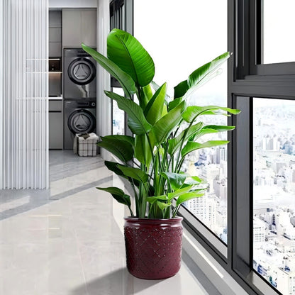 3 Pieces Ceramic Flowerpot, Planter For Patio &amp; Garden Or Windowsills - Bean Paste Red