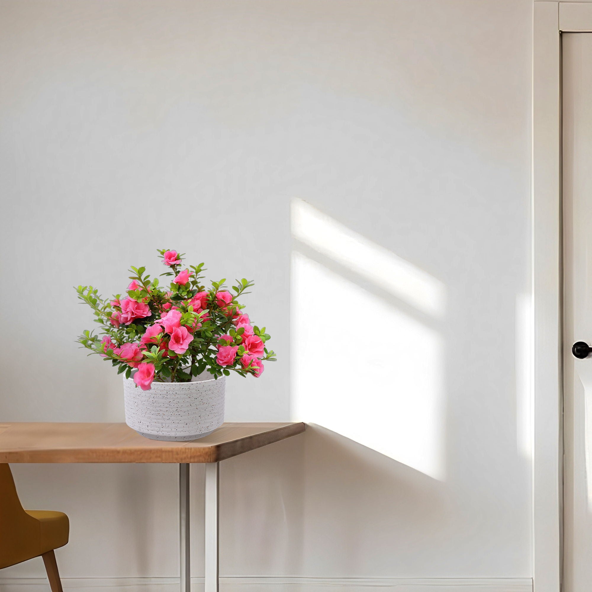 2 Pieces Flowerpot, Planter For Patio, Garden Or Windowsills - Milk White