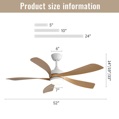 Ceiling Fan &amp; DC Motor And Integrated Light