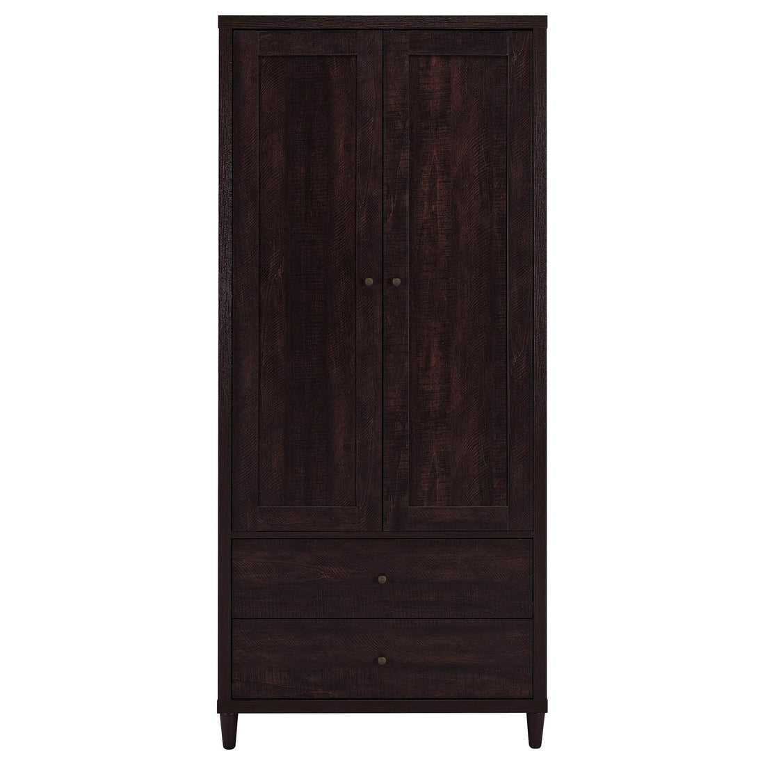 Nestor - 2 Drawer Tall Accent Cabinet With 2 Doors - Rustic