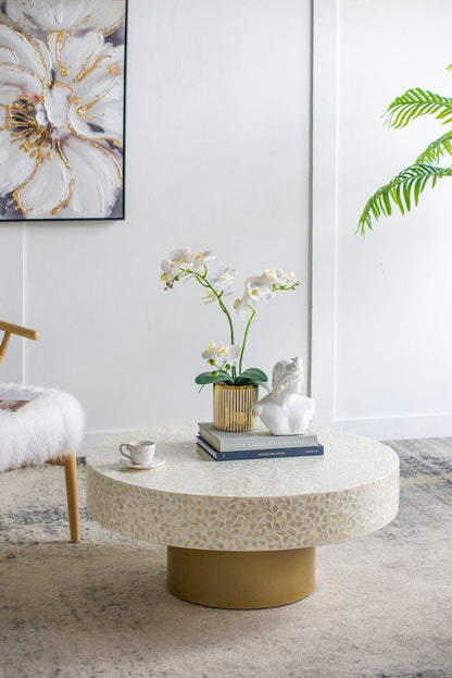 Unique Capiz Coffee Table &amp; Pedestal Base