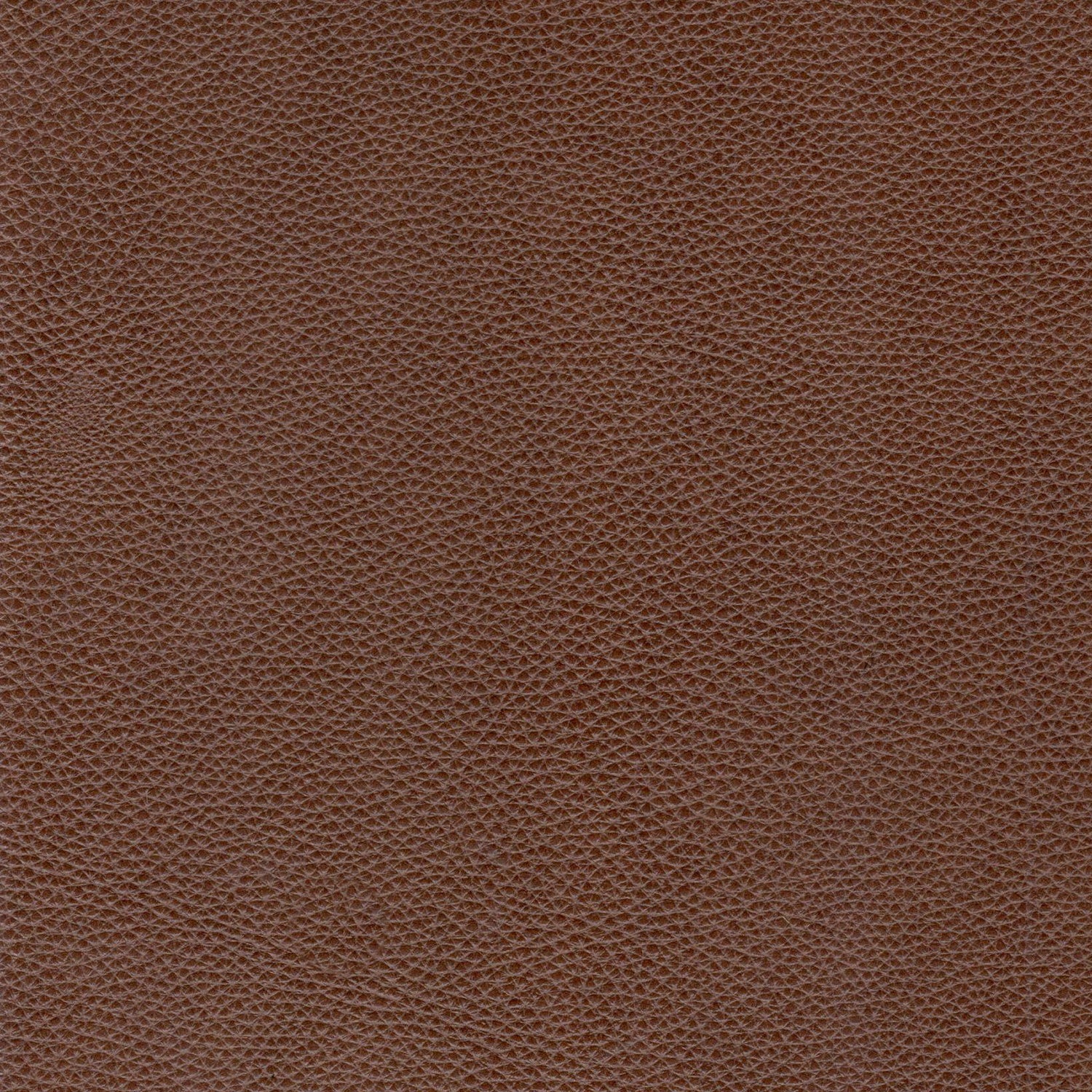 Modern &amp; Contemporary Leather Sofa