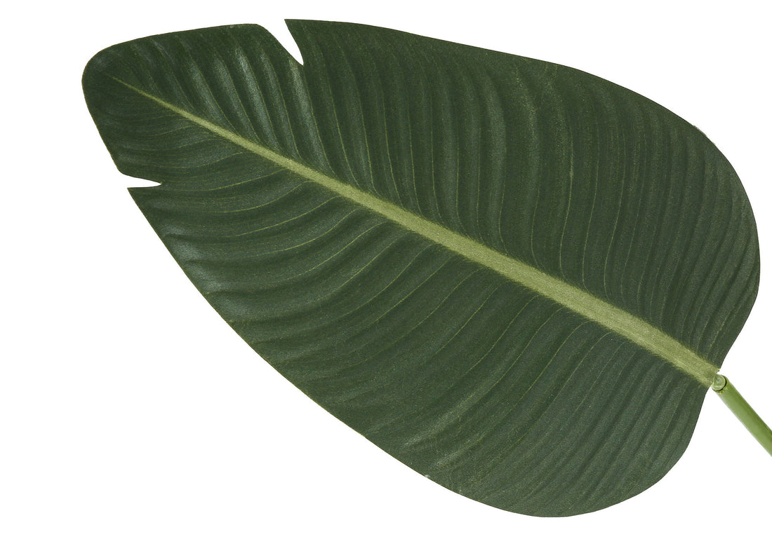 60&quot; Tall, Artificial Plant, Bird Of Paradise Tree, Indoor, Faux, Fake, Floor, Greenery, Potted, Decorative - Green / Black