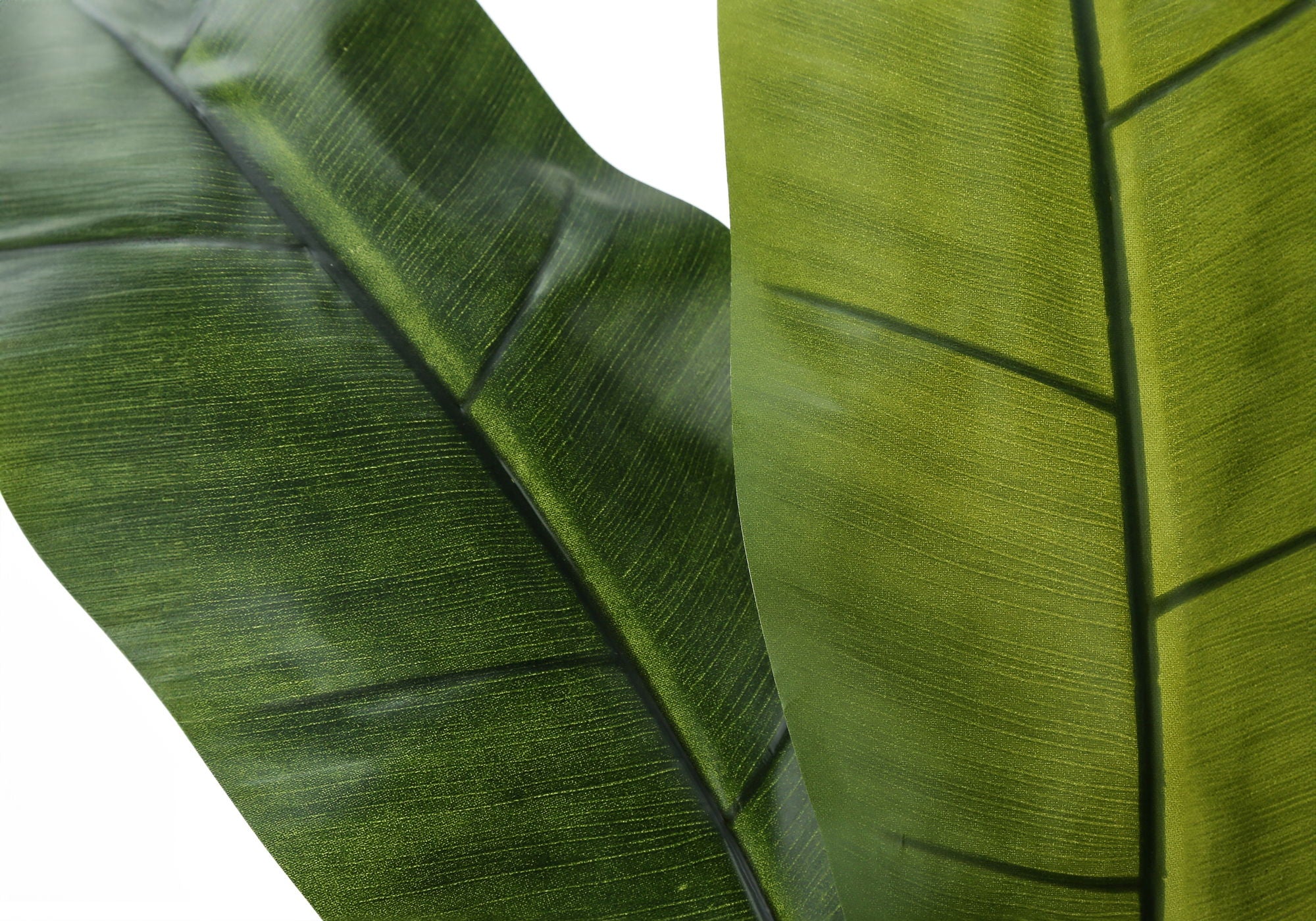 55&quot; Tall, Artificial Plant, Banana Tree, Indoor, Faux, Fake, Floor, Greenery, Potted, Real Touch, Decorative - Green / Black