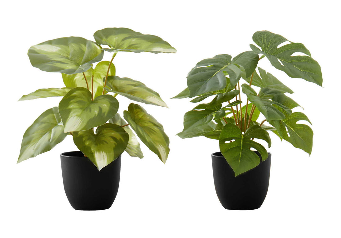 13&quot; Tall, Artificial Plant, Monstera Calthea, Indoor, Faux, Fake, Table, Greenery, Potted, Decorative (Set of 2) - Green / Black