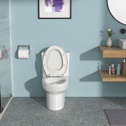 1 Piece Toilet &amp; Dual Flush, Soft Closing Seat - White