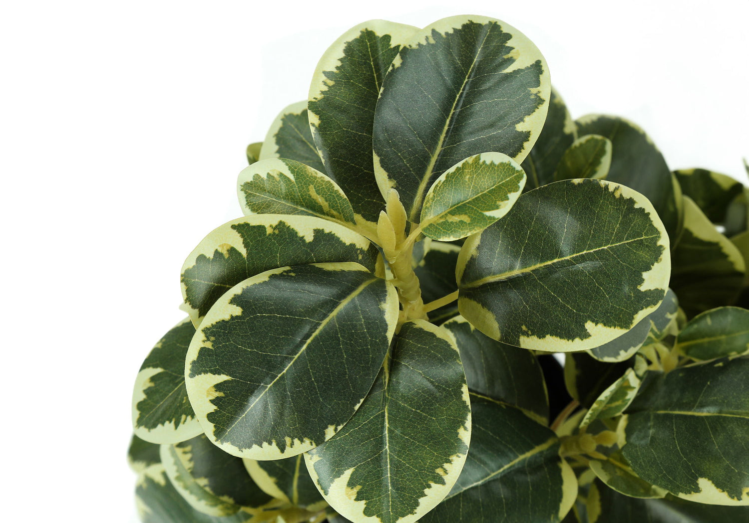 14&quot; Tall, Artificial Plant, Ficus, Indoor, Faux, Fake, Table, Greenery, Potted, Decorative (Set of 2) - Green / Black