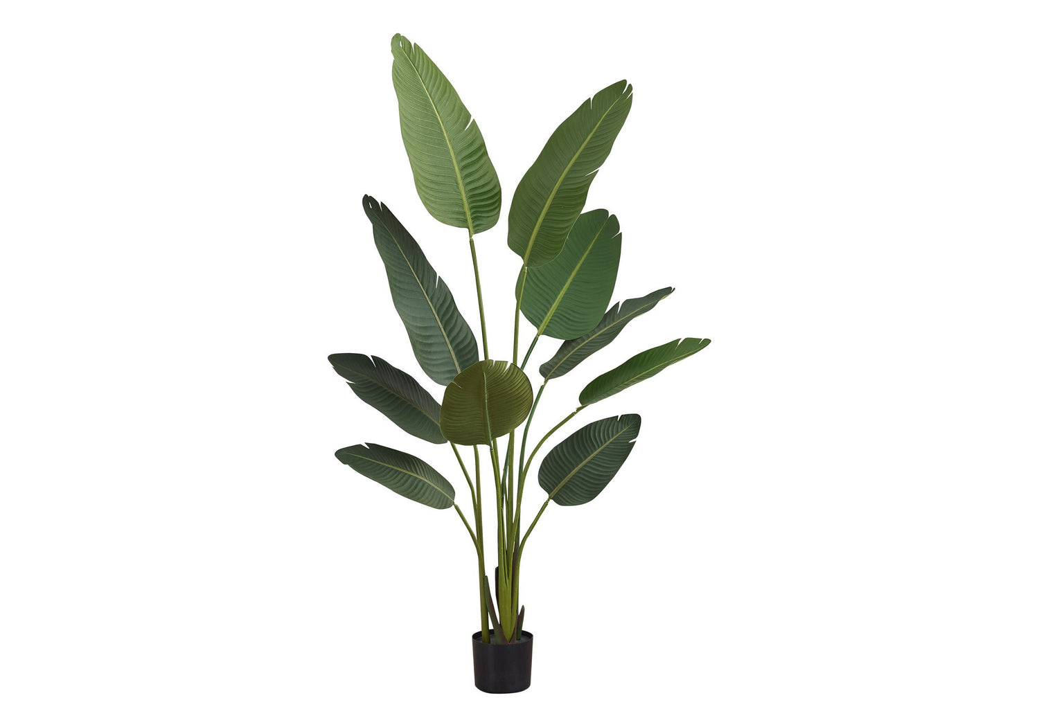 60&quot; Tall, Artificial Plant, Bird Of Paradise Tree, Indoor, Faux, Fake, Floor, Greenery, Potted, Decorative - Green / Black