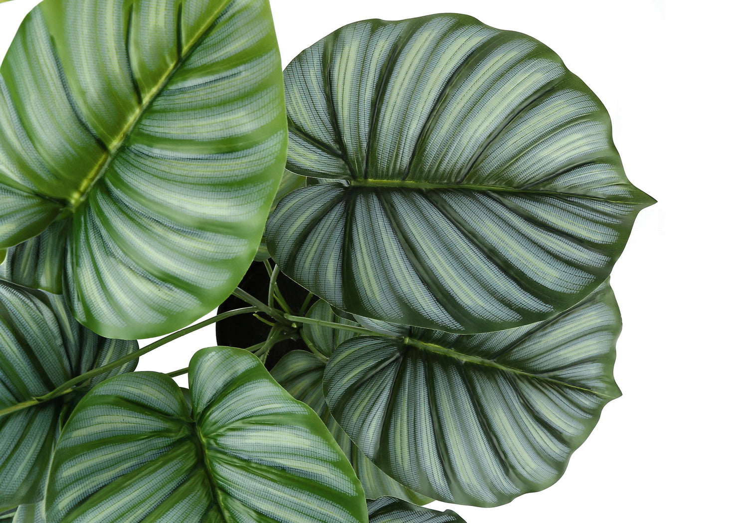 24&quot; Tall, Artificial Plant, Calathea, Indoor, Faux, Fake, Table, Greenery, Potted, Real Touch, Decorative - Green / Black