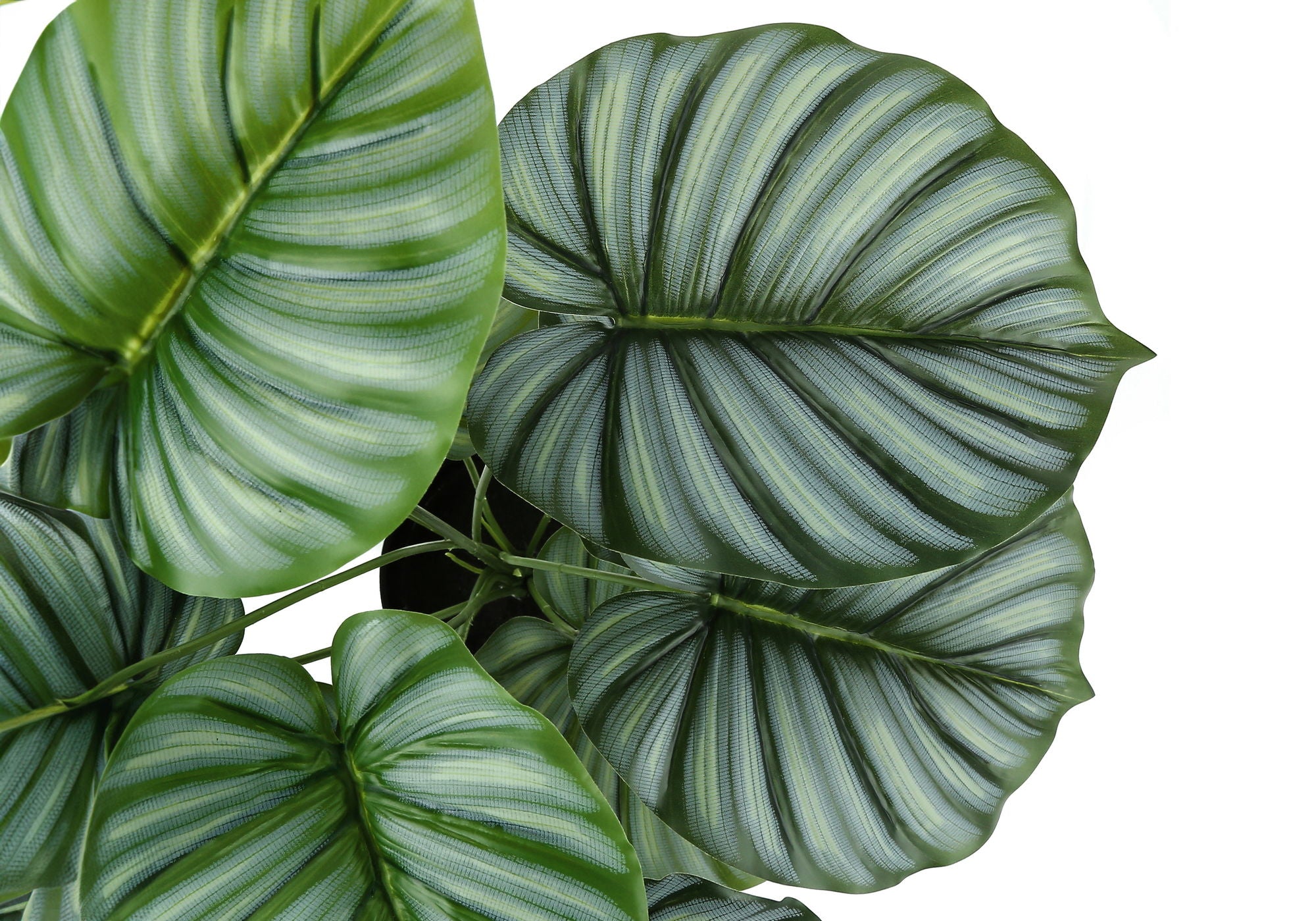24&quot; Tall, Artificial Plant, Calathea, Indoor, Faux, Fake, Table, Greenery, Potted, Real Touch, Decorative - Green / Black
