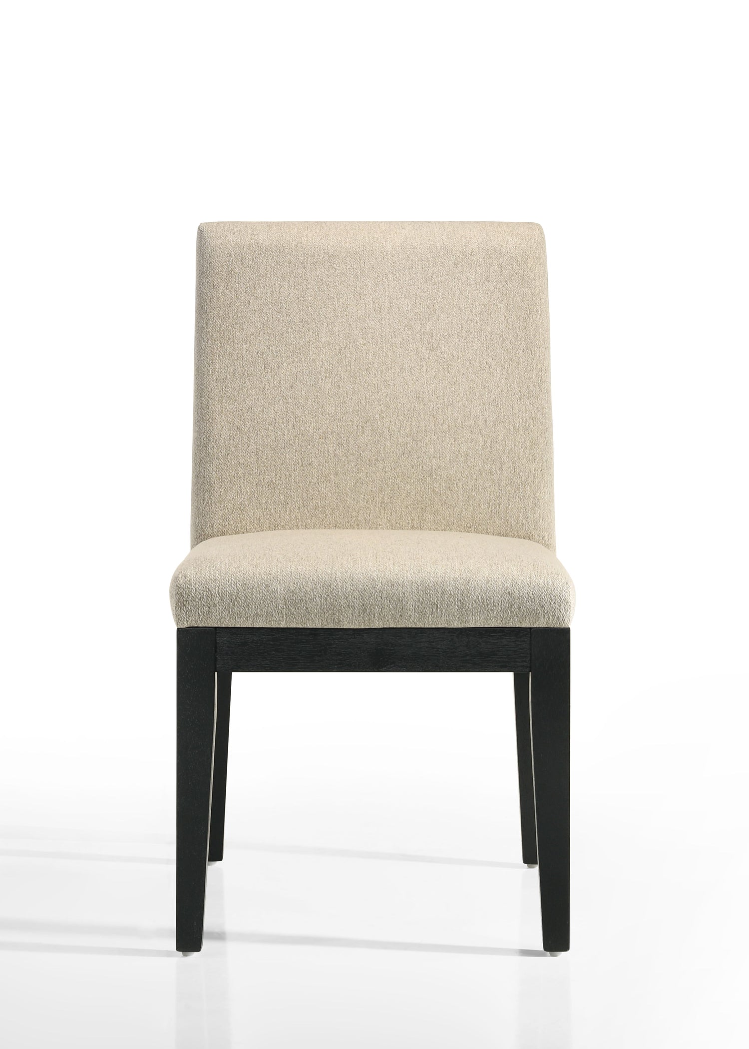 Jasper - Contemporary Fabric 19&quot; Dining Chair (Set of 2)