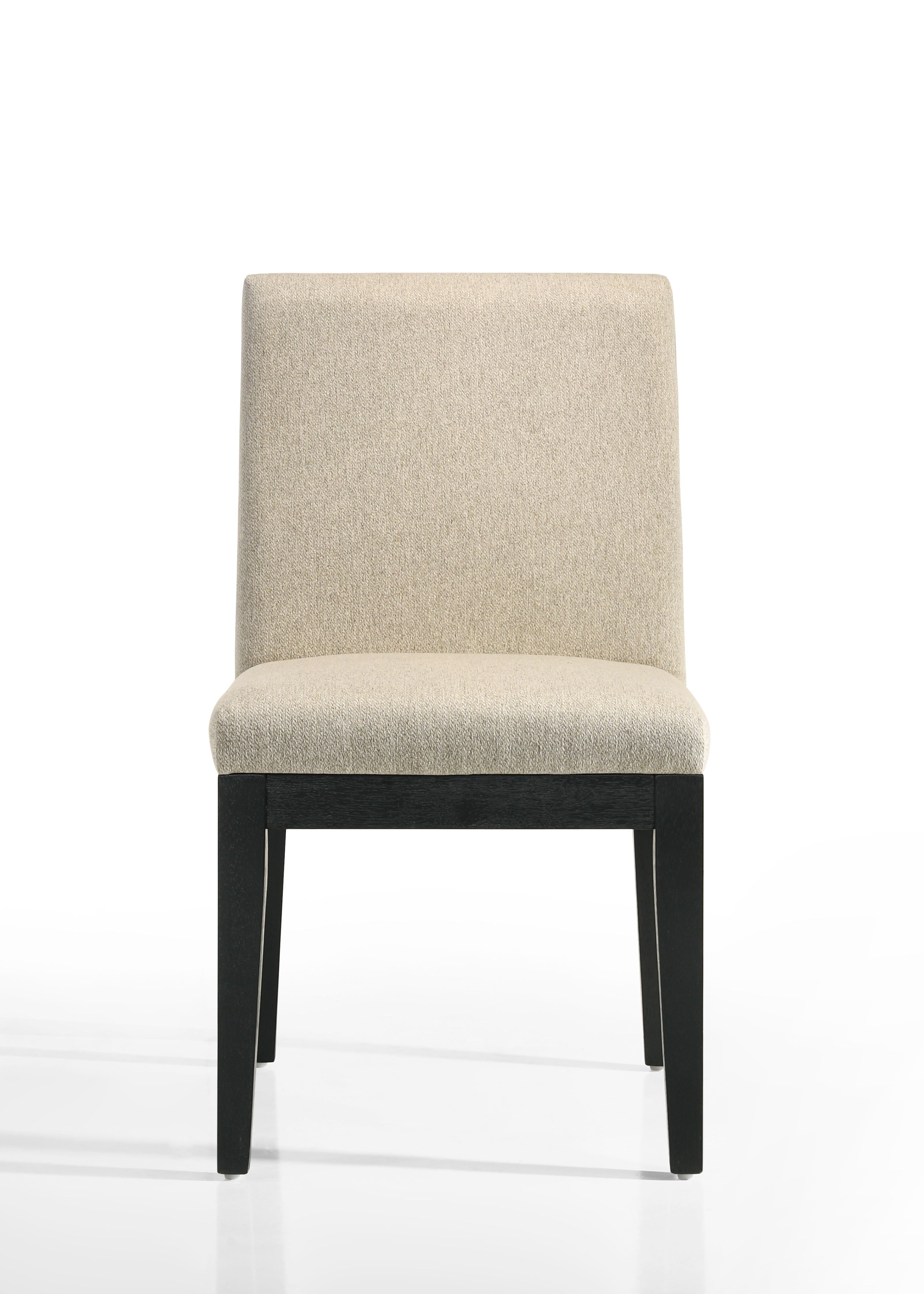 Jasper - Contemporary Fabric 19&quot; Dining Chair (Set of 2)