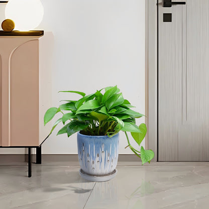 Flowerpot With Drainage Hole (Set of 2)