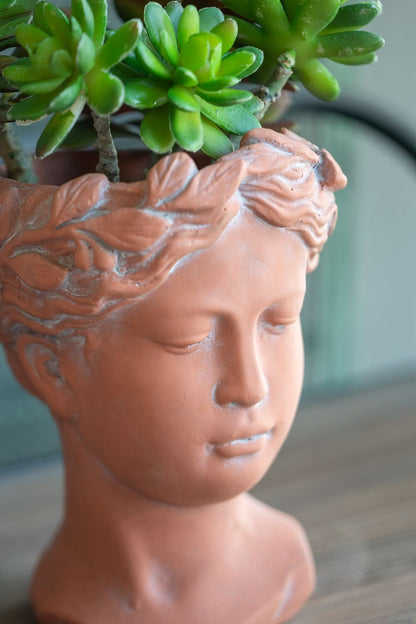 D6X9&quot; Visage Head Bust Planter - Brown