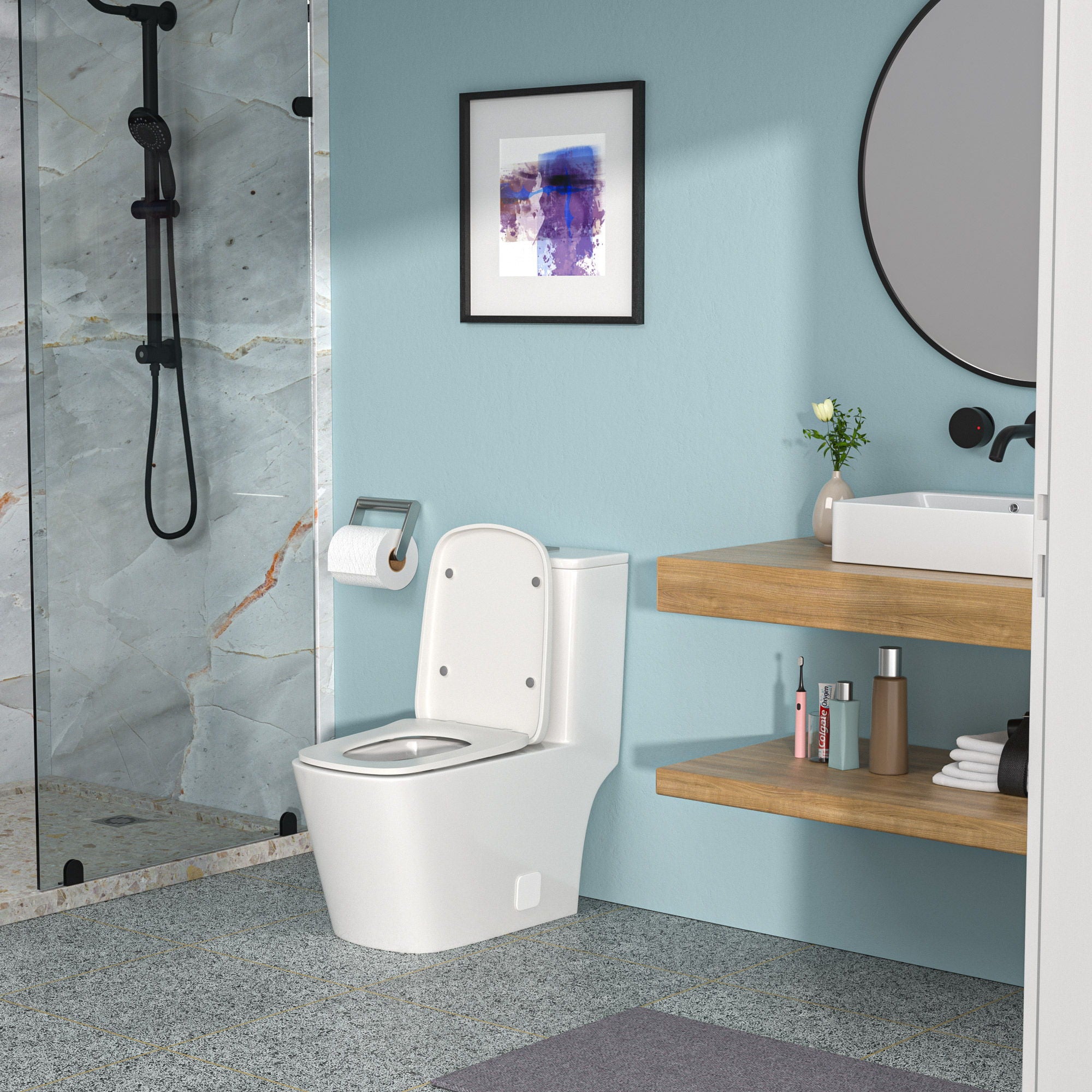 1 Piece Toilet &amp; Dual Flush And Soft Closing Seat - White