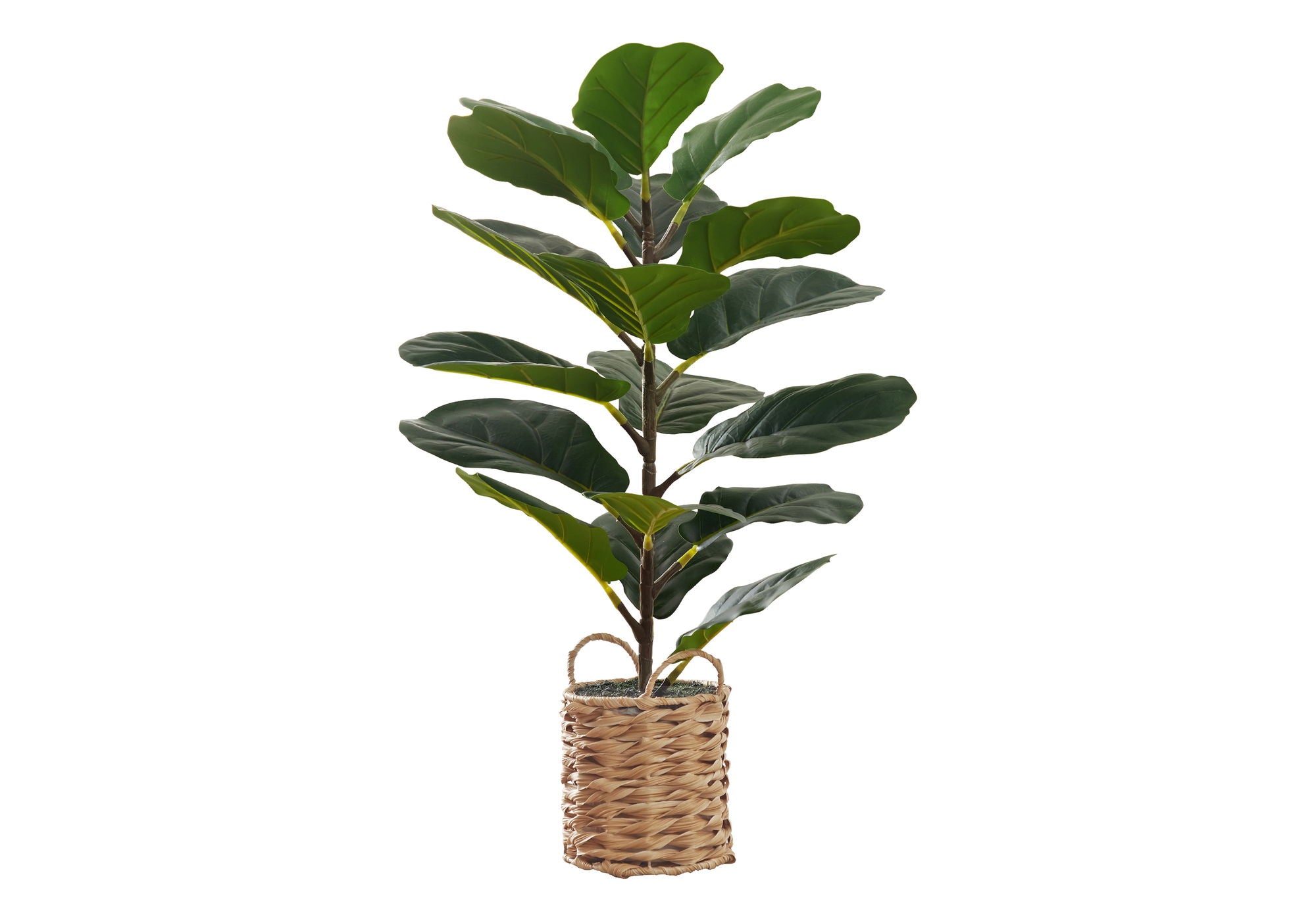 28&quot; Tall, Artificial Plant, Fiddle Tree, Indoor, Faux, Fake, Floor, Greenery, Potted, Real Touch, Decorative - Green / Beige