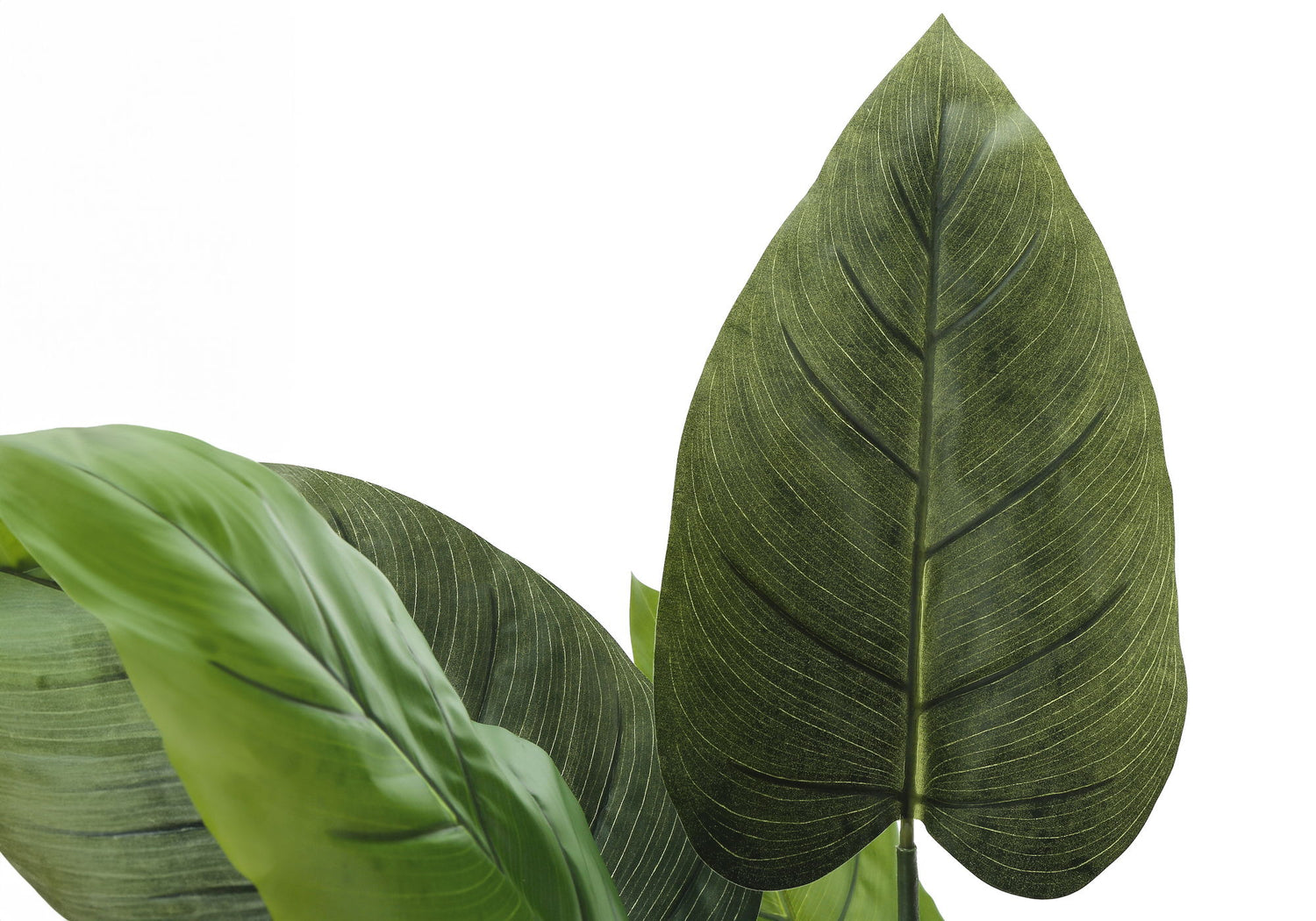 37&quot; Tall, Artificial Plant, Aureum Tree, Indoor, Faux, Fake, Floor, Greenery, Potted, Real Touch, Decorative - Green / Black
